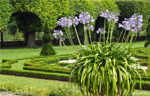 ½ü400¼ÒÉÏÊй«Ë¾ÄêÄÚÊÕ·£µ¥ ÐÅÅûÎ¥¹æÊÇ