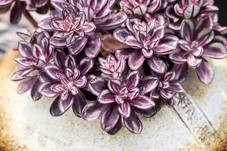 ¹ú×Êί£º³ÉЧÏÔÏÖ ×¥½ôץʵ¹úÆó¸Ä¸ïÈýÄêÐж¯