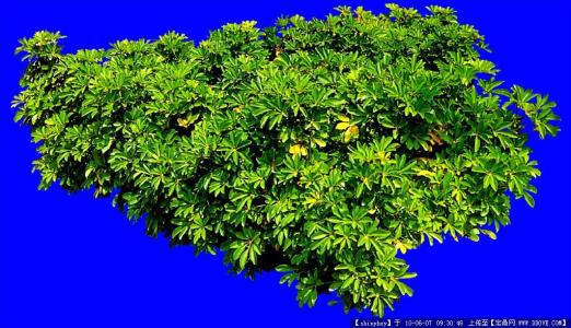 Î÷²ýÎÀÐÇ·¢ÉäÖÐÐÄÁ¬ÐøÈýÄê²õÁªÖйúº½Ìì·¢Éä°ñÊ×