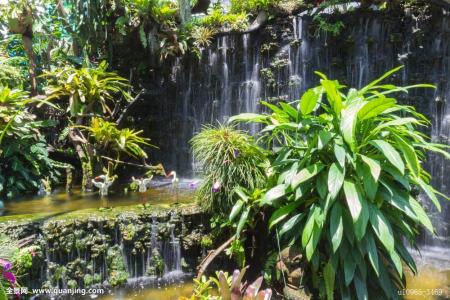 ÏÆÆð²èÒûÑøÉúÐÂÀ˳±£¡Í¬ÈÊÌÃÀÏÒ©ÆÌÀïѰ¡°ÃÙÆø¡±