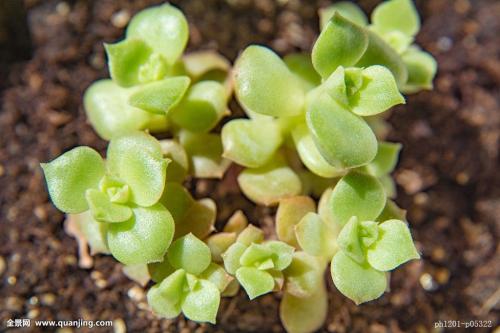 Î岿ÃÅ£ººÏ¹æÔÙÉú¸ÖÌúÔÁÏ2021ÄêÆð¿É×ÔÓɽø¿Ú